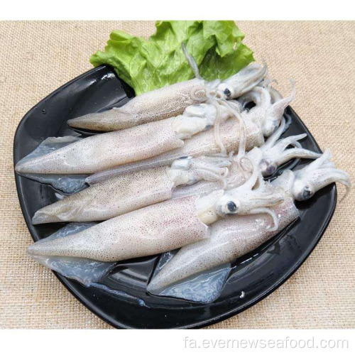 غذاهای دریایی منجمد لولیگو ژاپنی